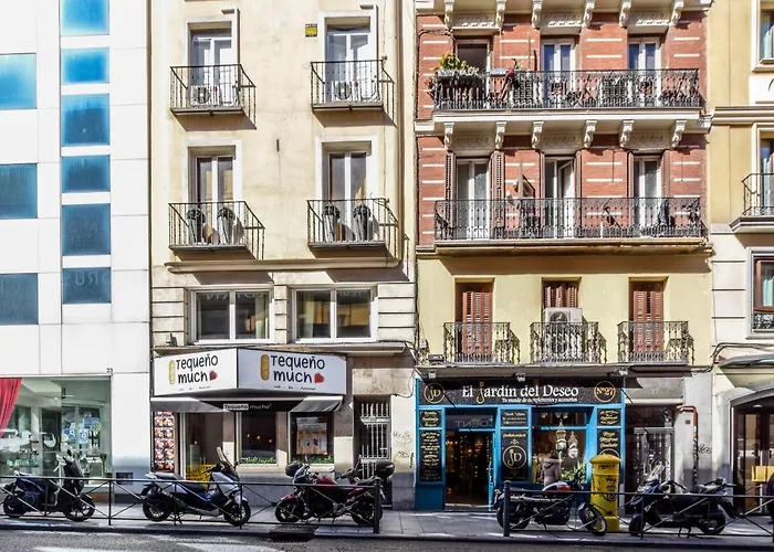 Amazinn Collection Madrid San Bernardo